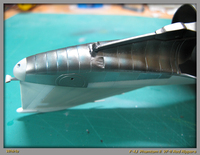 IMG 4091