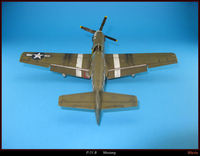 p-51b-005